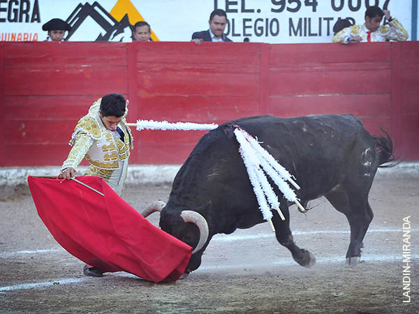 Doblones en el inicio de faena