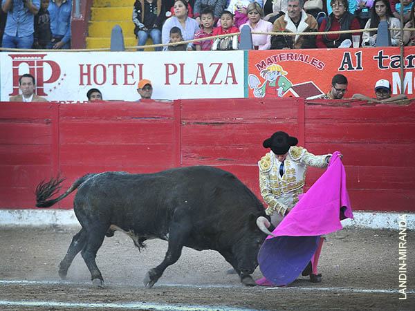 Ver�nicas rodilla en tierra