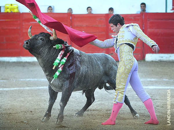 A barrerle los lomos