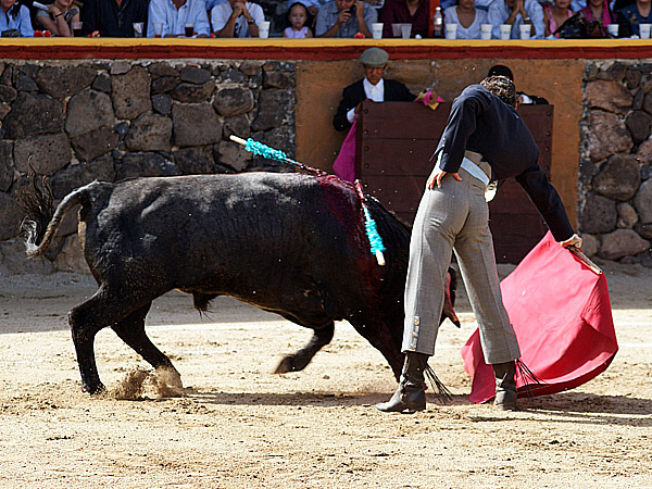 Largo trazo de Federico