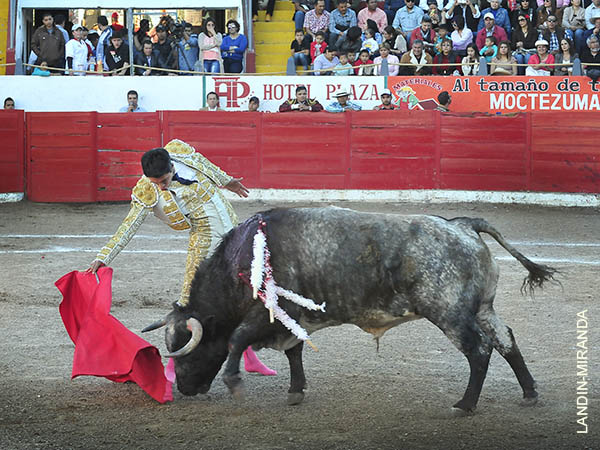 Faena en el gusto de la afici�n