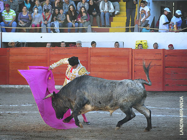 El toricantano, por navarras