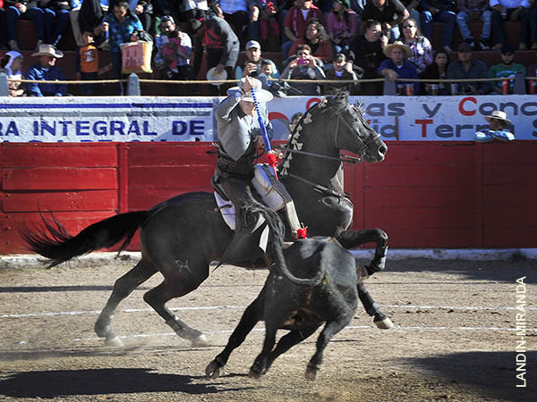 De castigo, al estribo