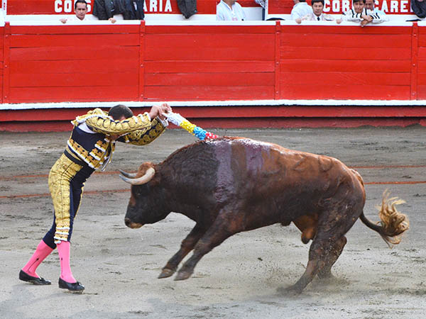 Banderillas de Sebasti�n