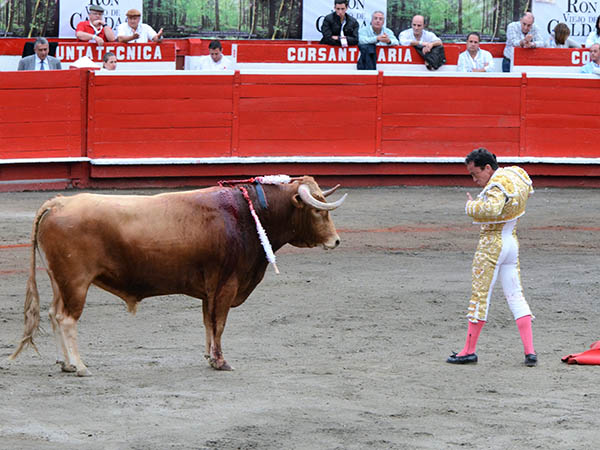 La catadura del casta�o