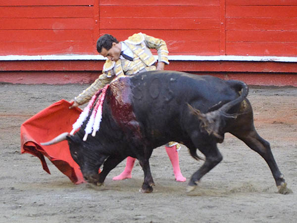 La faena de Fandi�o