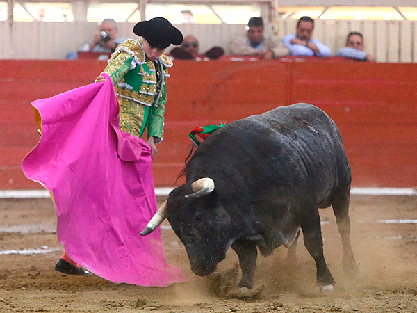 Un lance de Armillita IV