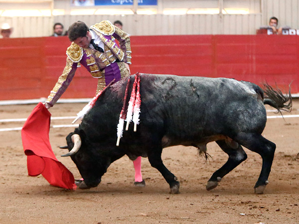 Sald�var con el de Xajay