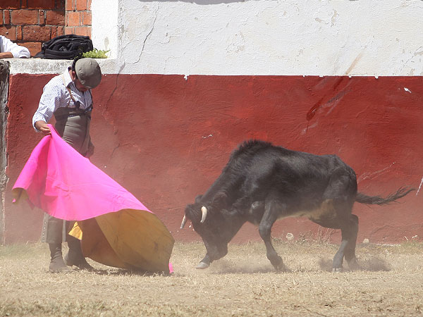 Jos� Luis Angelino