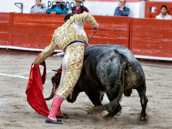 M�xima extensi�n