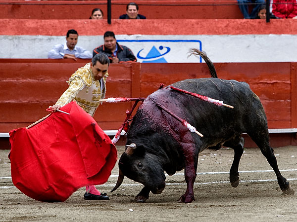 Ense��ndole el camino