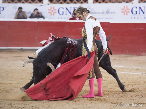 Volvi� al toro con arrojo