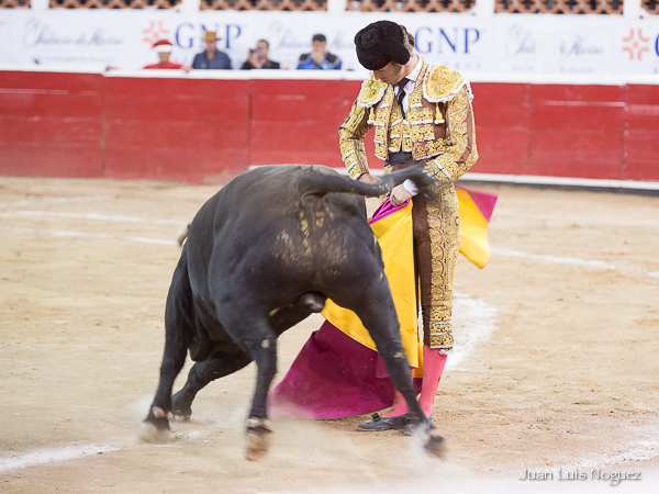 El arte del queretano