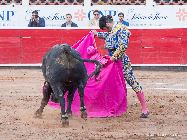 Detalles de toreo art�stico