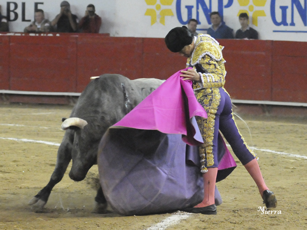 Acompasada ver�nica del tapat�o