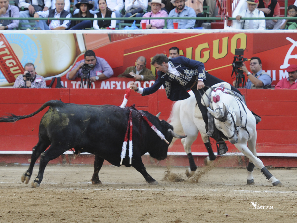 En los adornos finales