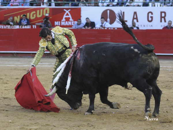Otro toro bien presentado