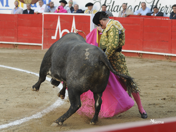 Sin descomponer nunca la figura