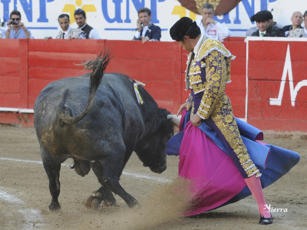 Media ver�nica del sevillano