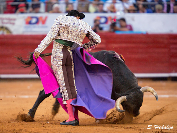 Flores en nivel superior