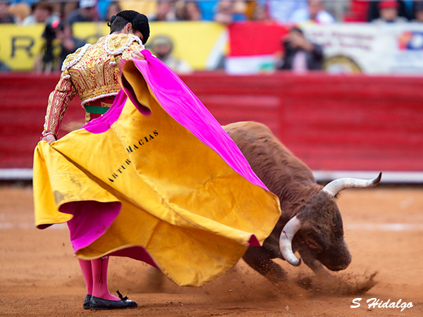 Mac�as, siempre profesional