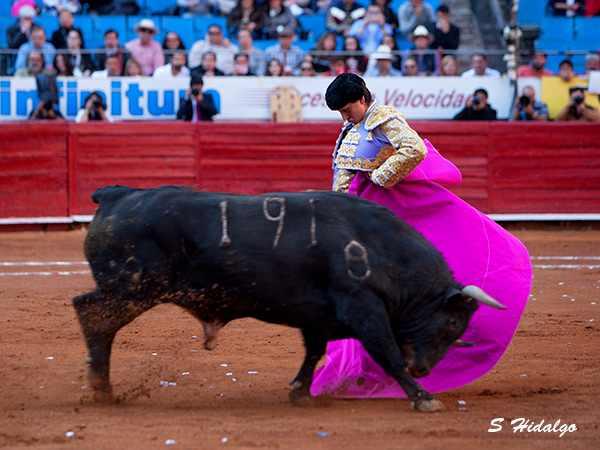 Agrad� a la afici�n