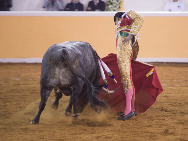 Llev�ndolo toreado