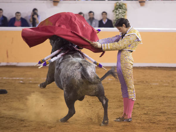 Estatuario en los medios