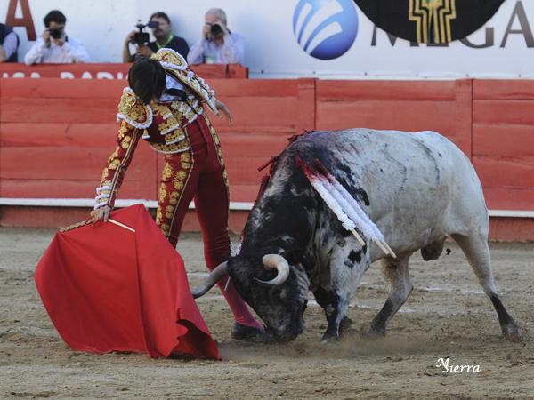 S�lida proyecci�n