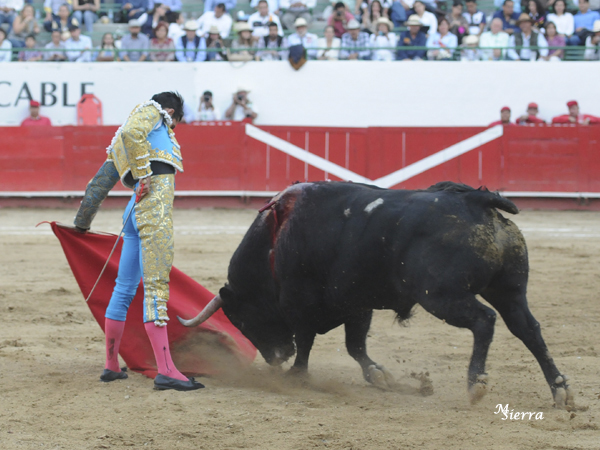 Natural a su segundo