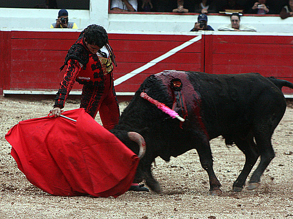 Buen momento de Adame