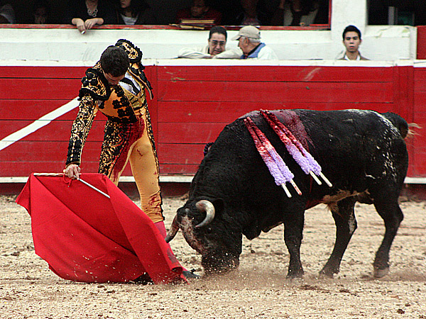 Asentado Alejandro Amaya