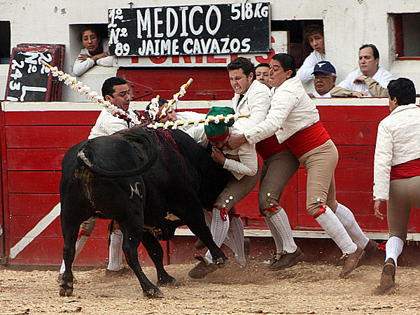 Los forcados se la jugaron