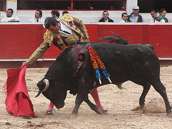 El arte de Enrique Garza
