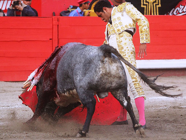 Llev�ndole muy toreado