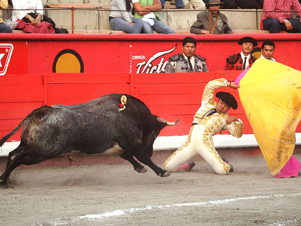 Jos� Luis Angelino entregado