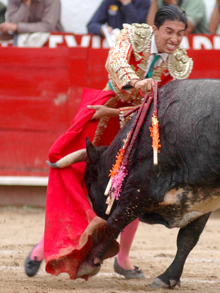 Otra de sus cualidades