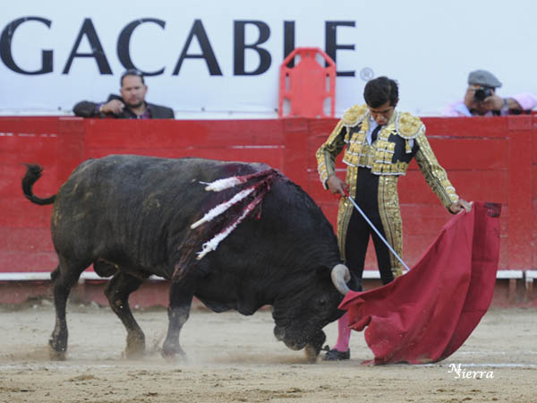 Llev�ndolo empapado