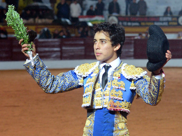 Una oreja y una mata de romero