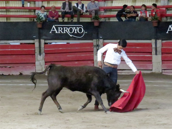 La clase de Sescosse