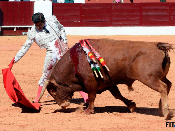 As� humillaba el colorado