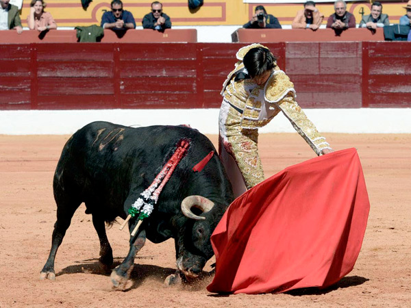 Llev�ndolo metido en la tela