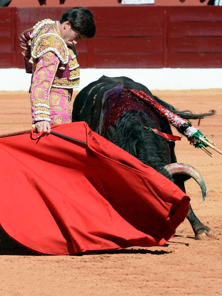 Magn�fico concepto