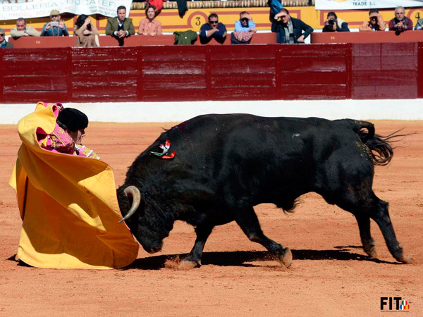 �Una caleserina de rodillas!