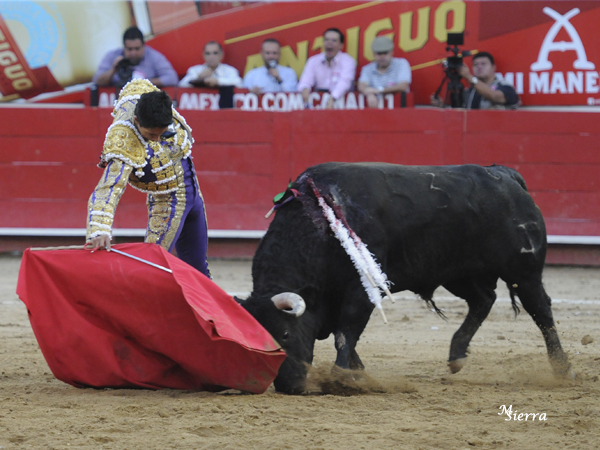 Trazo largo del tlaxcalteca