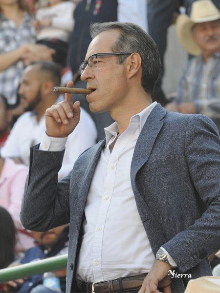 Disfrutando la tarde