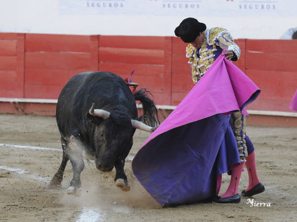 Una amplia ver�nica