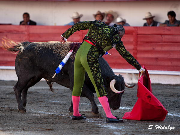 Metido en la muleta