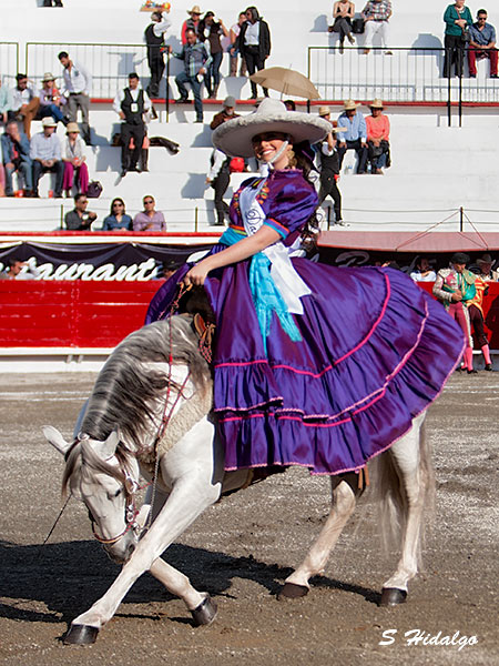 Reina de la primavera