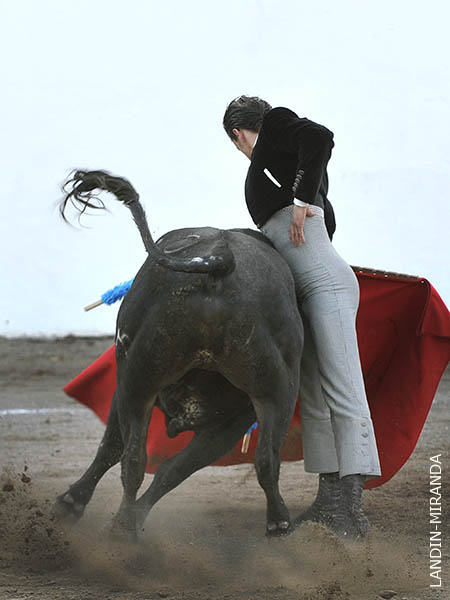 Imposible m�s ce�ido